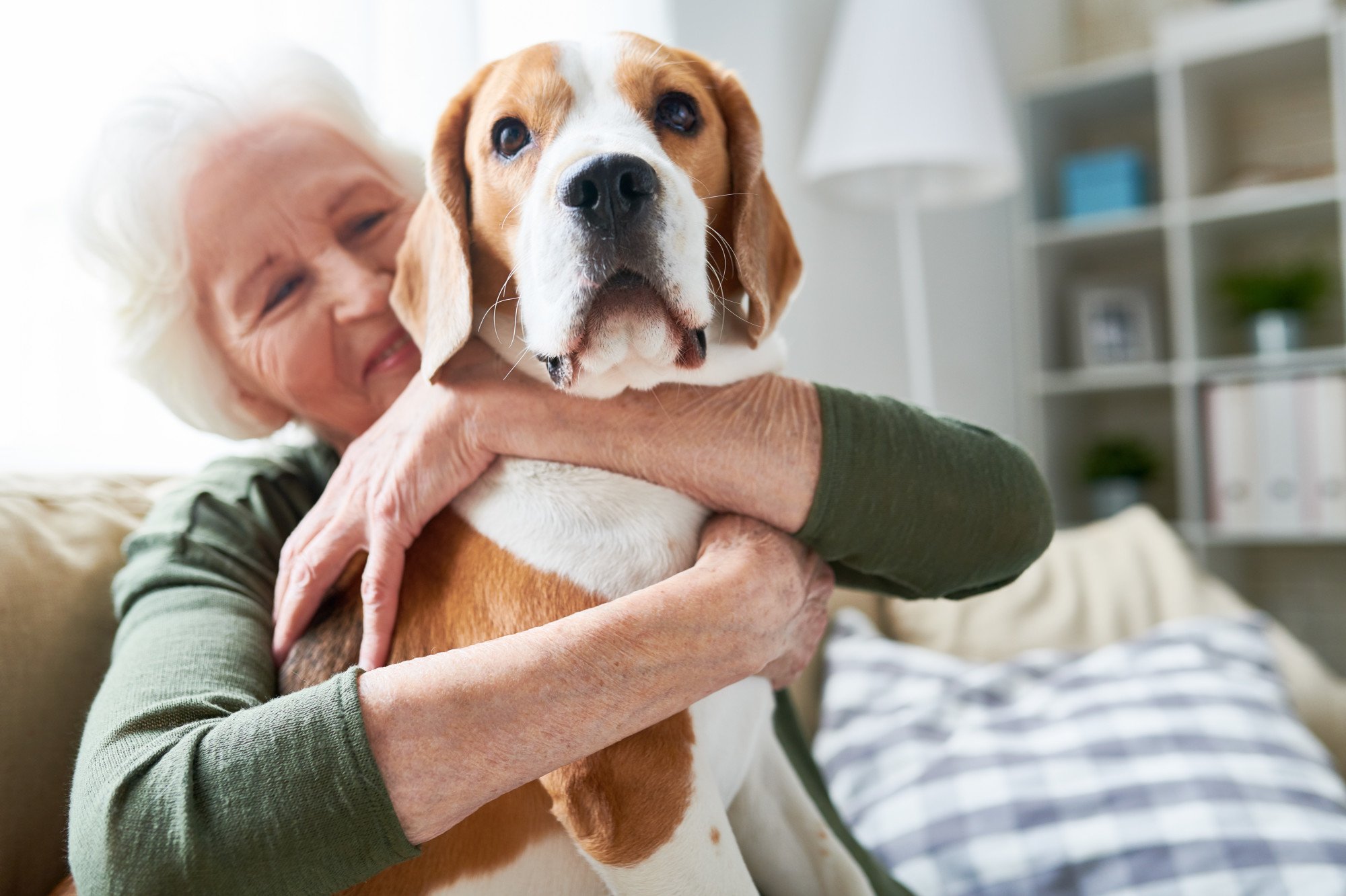 A Guide to Understanding Fort Bend Homeowner Association Rules Regarding Support Animals